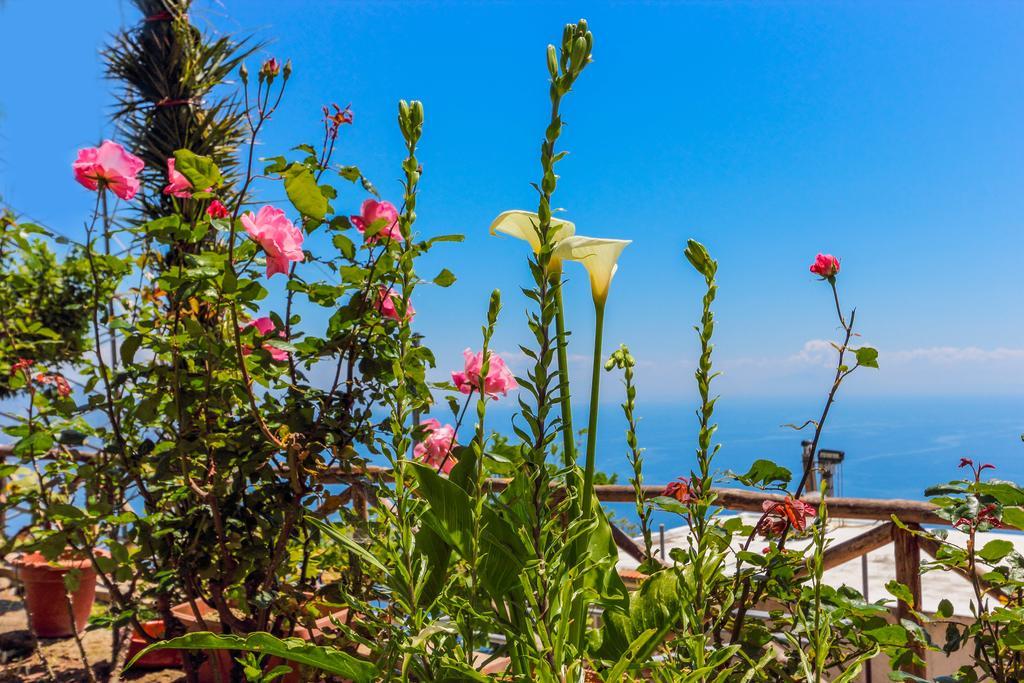 Villa Matilde Amalfi Bagian luar foto